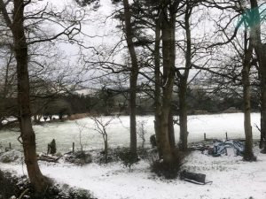 img_0215