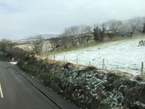 img_0230-1