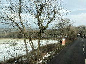 img_0231