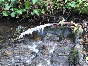 img_0255