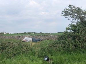 bed-of-stone