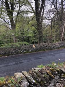 walk-to-work