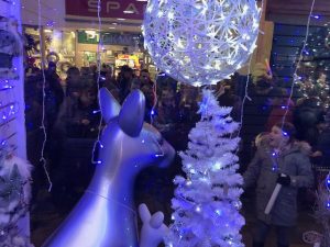 Wallaby Christmas window