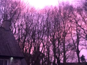 old-schoolhouse-at-dawn