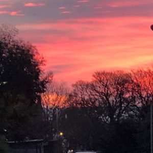 dawn-in-tromode