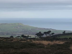 view-north-from-near-gooseneck