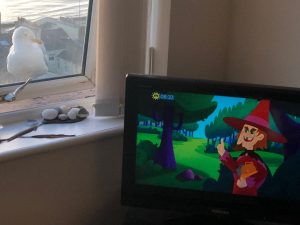 chester-watches-telly