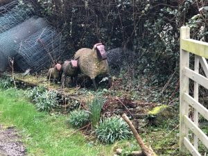 carved-sheep