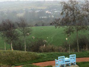 distracting-lambs-from-office