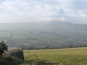 foxdale-farmland