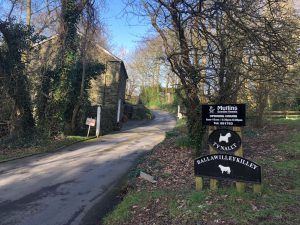 kennels-at-ballawilleykilley