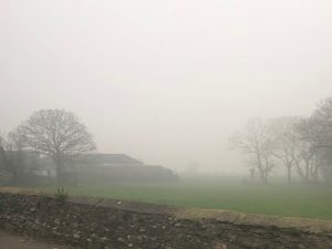 misty-farm