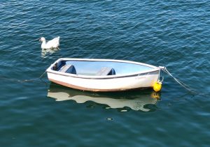 duck-and-boat