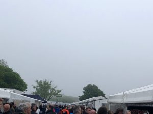 losing-the-view